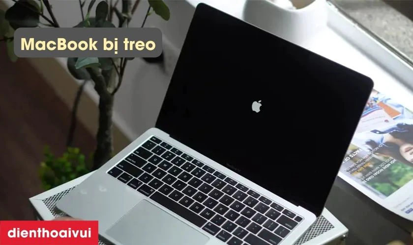 Khi nào nên thay ổ cứng MacBook Air 2015 512GB A1465 chính hãng GENA?