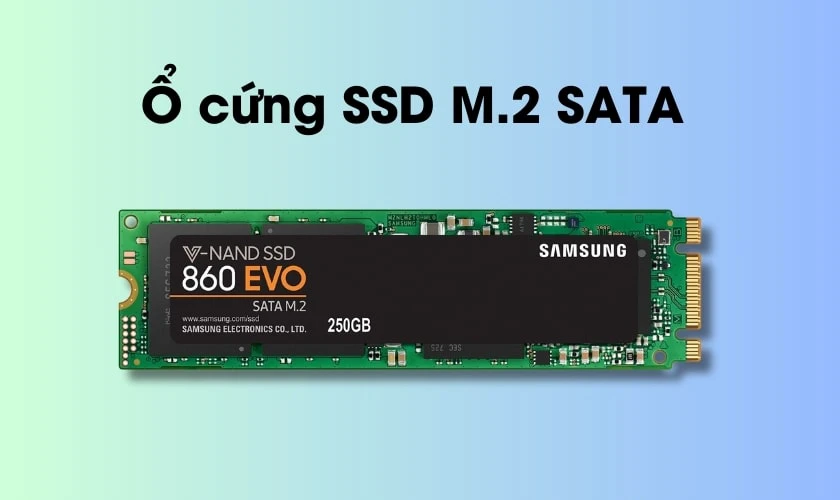 Ổ cứng SSD M.2 SATA (M.2 SATA và M.2 PCle)
