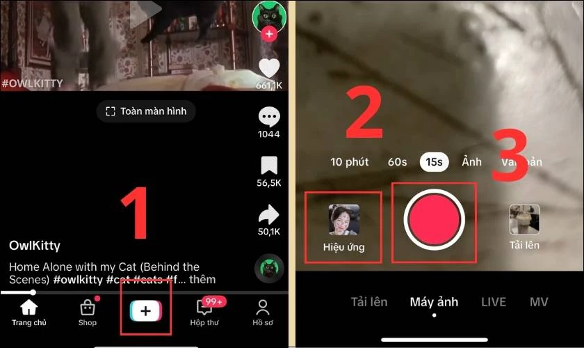 Chụp ảnh trên TikTok bằng cách cắt ảnh từ video trên Android