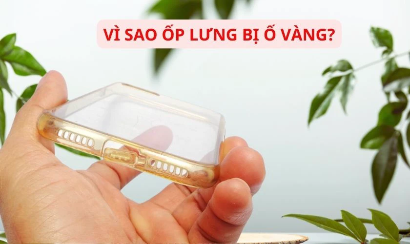 Vì sao ốp lưng bị ố vàng?