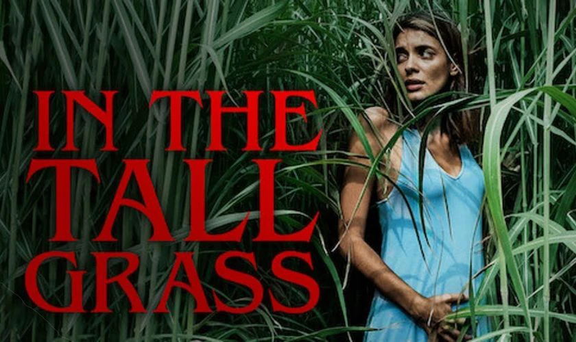 Bụi Cỏ Ven Đường - In the Tall Grass (2019)