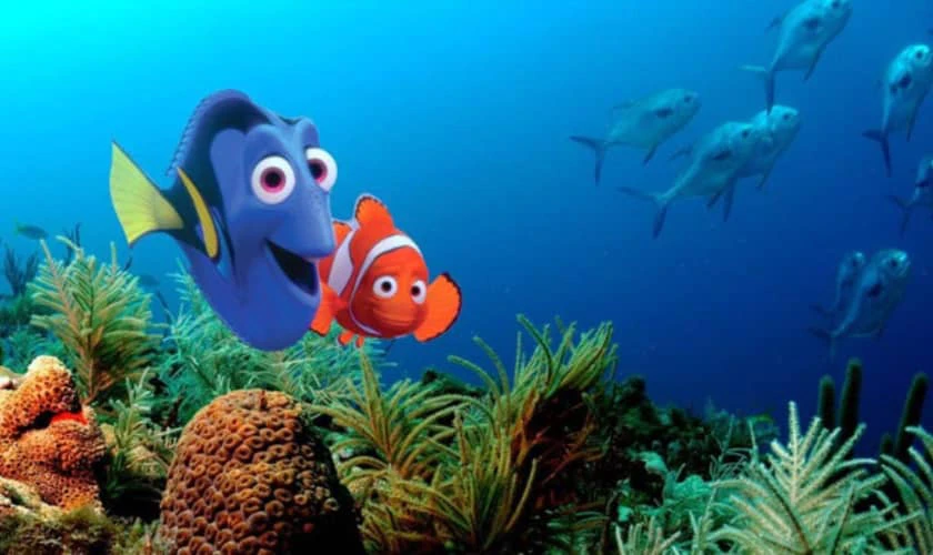 Finding Nemo