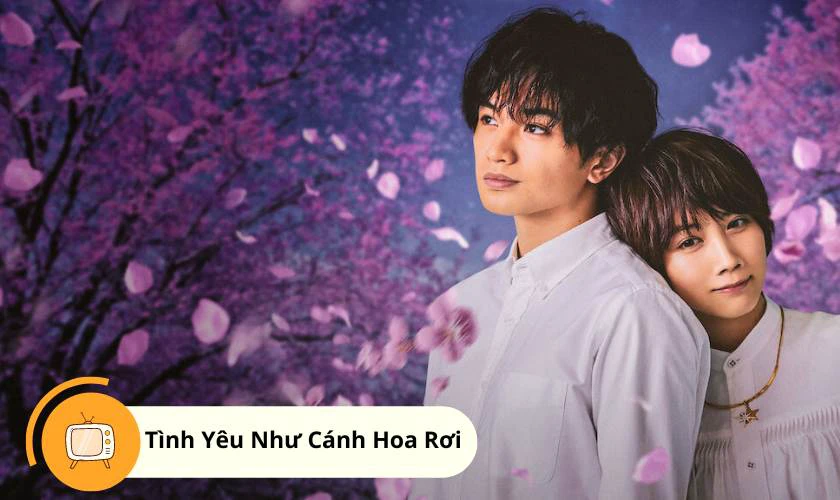 Tình Yêu Như Cánh Hoa Rơi