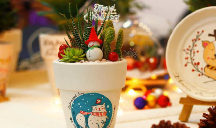 Cây cảnh để bàn dễ chăm sóc