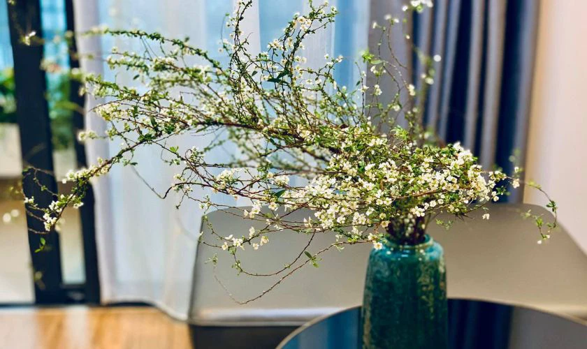 Cây cảnh hoặc hoa chưng Tết