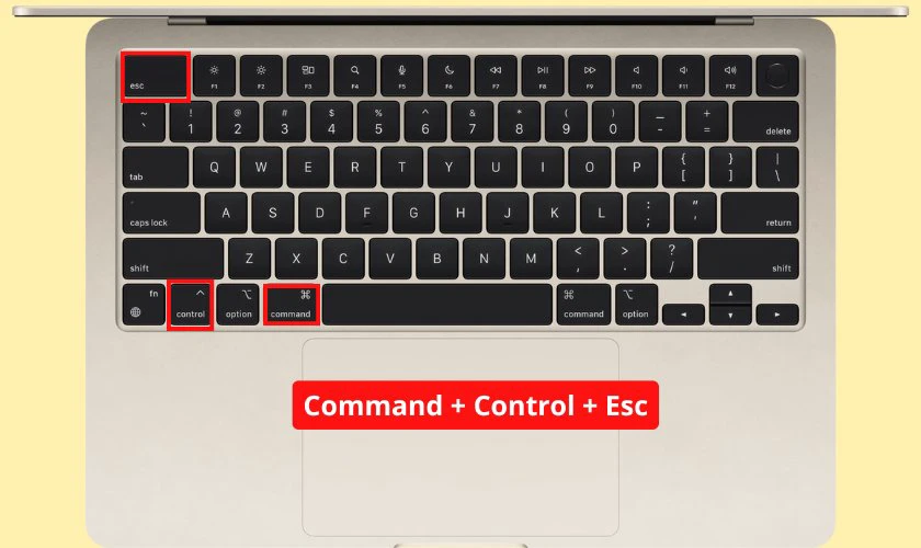 Nhấn tổ hợp Command + Control + Esc