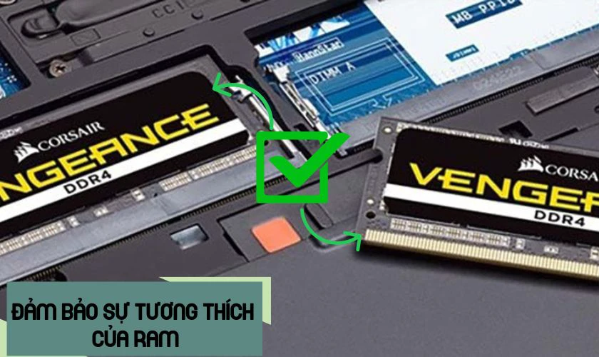 Đảm bảo RAM tương thích và máy có hỗ trợ công nghệ Dual Channel