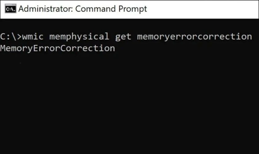 Nhập lệnh kiểm tra RAM ECC