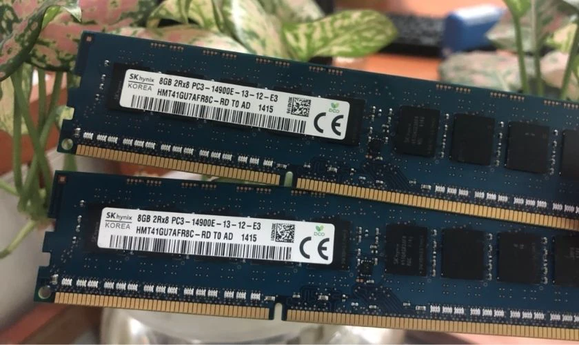 RAM Unbuffered ECC (RAM ECC UDIMM)