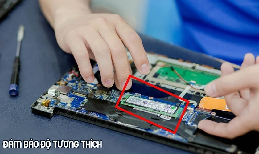 Luôn mua RAM Samsung chính hãng để đảm bảo an toàn cho thiết bị của bạn