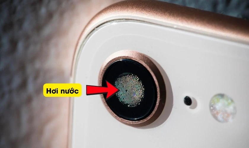Nguyên nhân gây đốm mờ camera sau iPhone 8 Plus