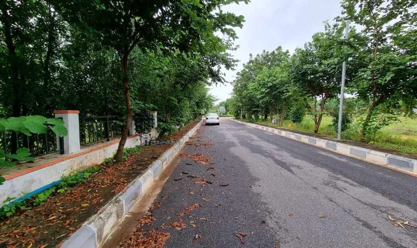 Đánh giá Samsung A37 về camera và chất lượng ảnh