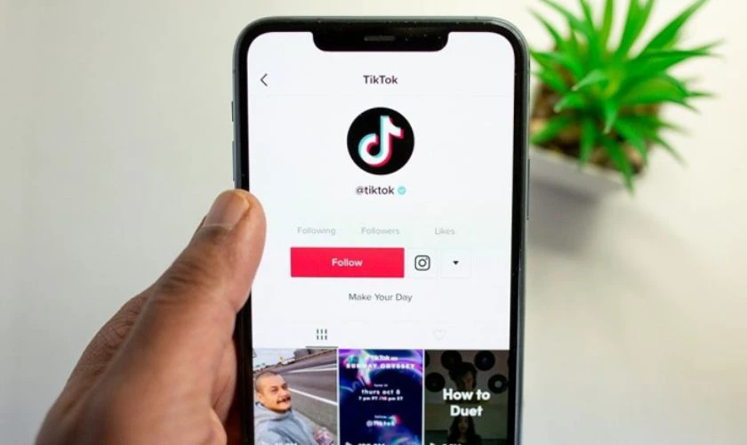 Sao chép liên kết TikTok để làm gì