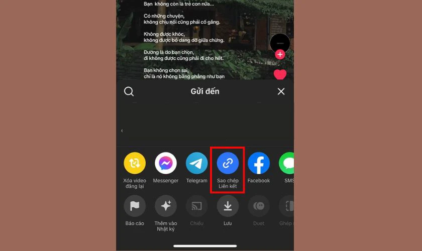 Sao chép liên kết TikTok trên điện thoại