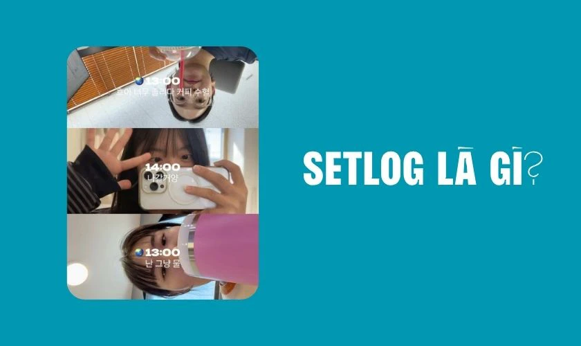 Setlog là gì?