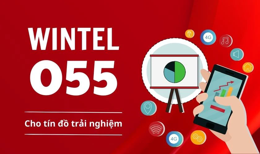 Những đầu số của SIM Winel là gì?