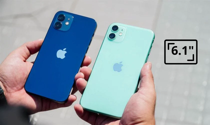 So sánh kích thước điện thoại iPhone 11 và 12 chi tiết nhất