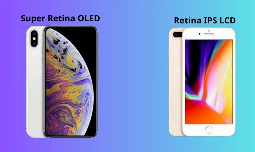 Kích thước không quá chênh lệch nhưng độ phân giải và chất lượng hiển thị iPhone Xs vượt xa iPhone 8 Plus