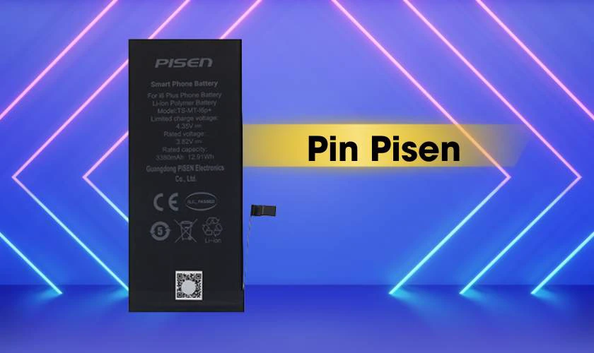 Thông tin tổng quan khi so sánh pin Deji và Pisen: pin Pisen
