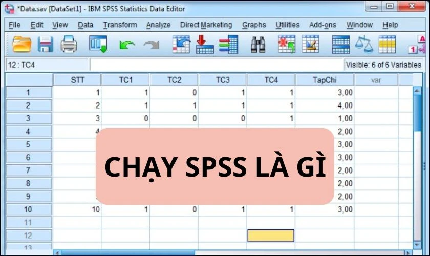 Chạy SPSS là gì?