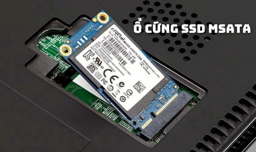 Ổ cứng SSD mSATA