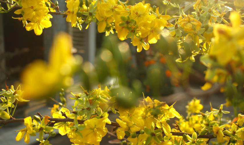 Caption mùng 1 Tết hài hước