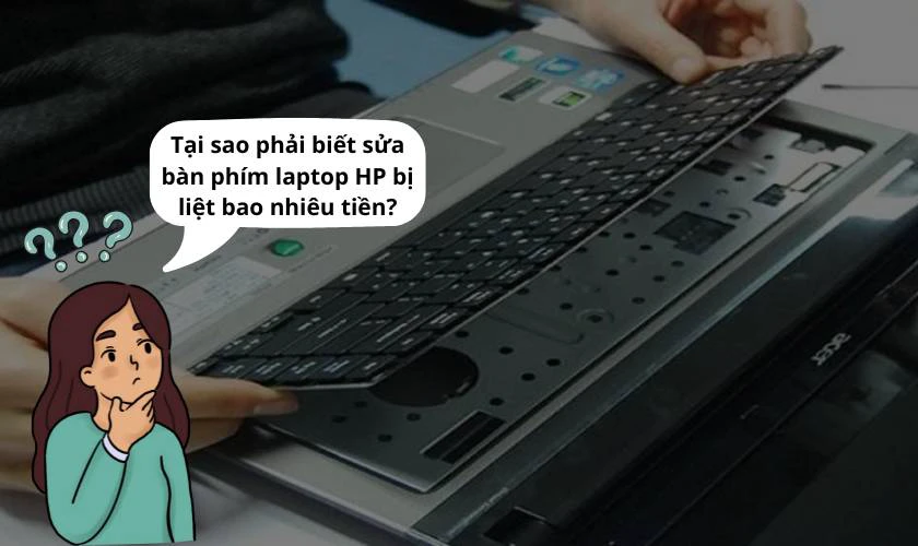 Tại sao phải biết sửa bàn phím laptop HP bị liệt bao nhiêu tiền?