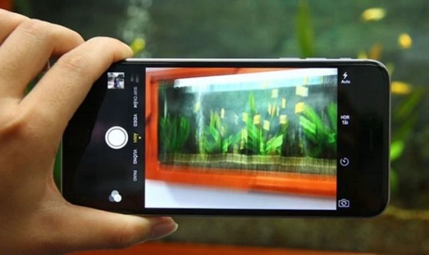 Camera iPhone 12 Pro Max bị rung là tình trạng gì?