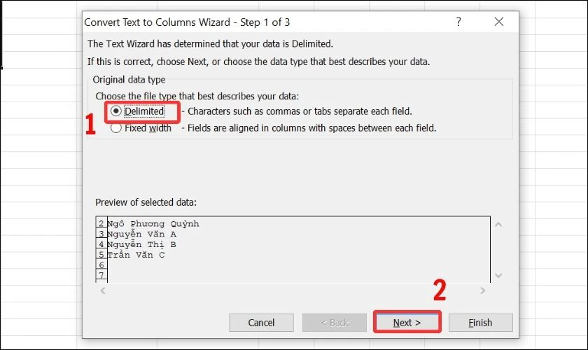 Chọn Delimited rồi nhấn Next