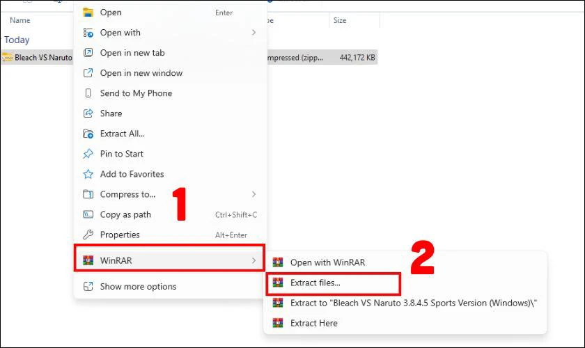 Mở file vừa tải và giải nén nếu file ở định dạng nén như ZIP