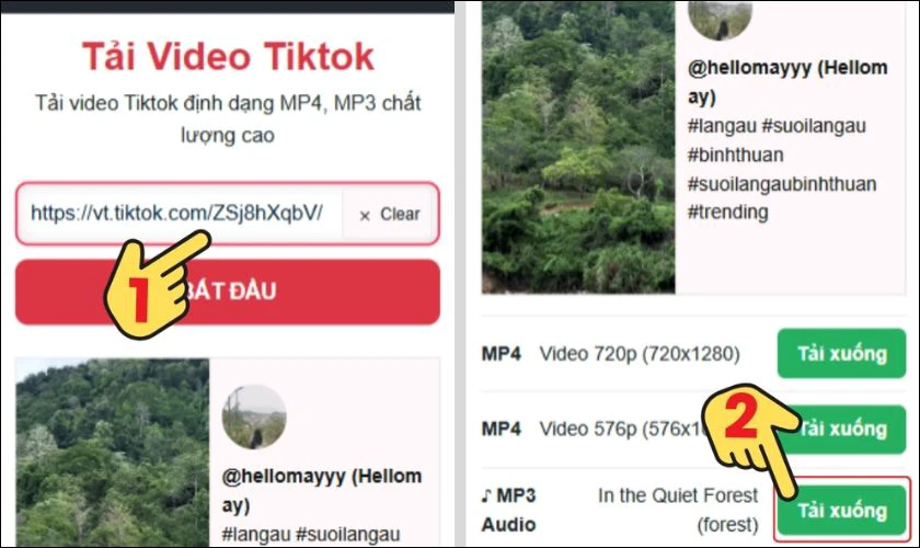 Truy cập vào trang web lovetik.com, sau đó dán link vừa sao chép vào ô nhập liệu