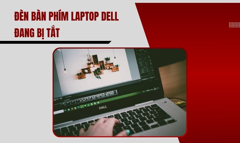 Tại sao không bật được đèn bàn phím laptop Dell