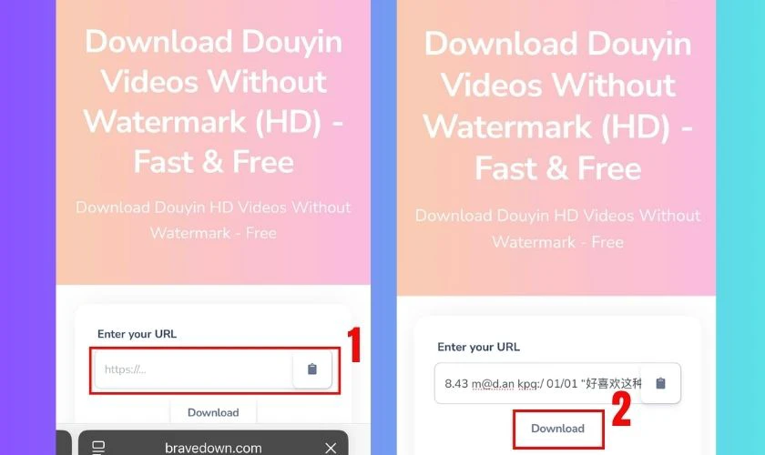 Dán đường link Douyin đã sao chép vào ô nhập
