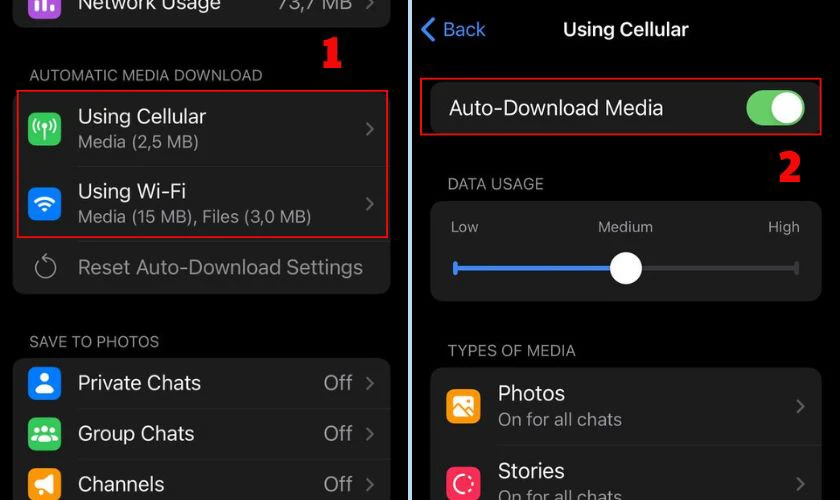 Chọn Using Cellular hoặc Using Wi-Fi trong Auto-download media