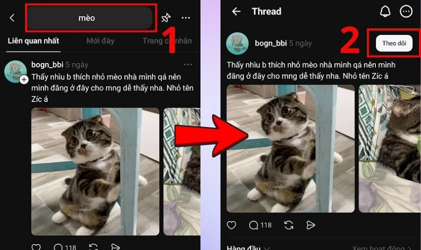 Tìm kiếm và theo dõi những người có cùng sở thích