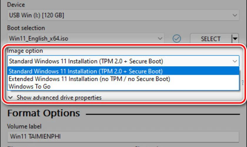 Chọn Standard Windows 11 Installation (TPM 2.0, Secure Boot)