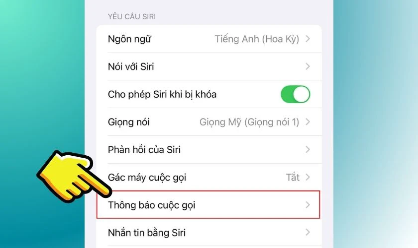 Nhấn vào danh mục Thông báo cuộc gọi