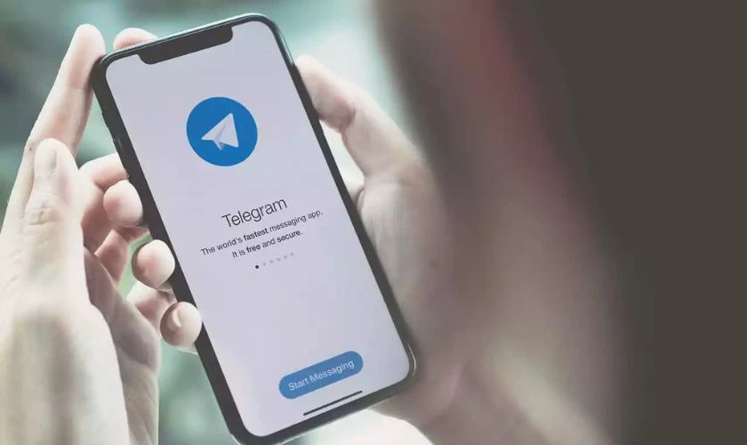 Tại sao phải biết cách tắt trạng thái online trên Telegram trên iPhone?