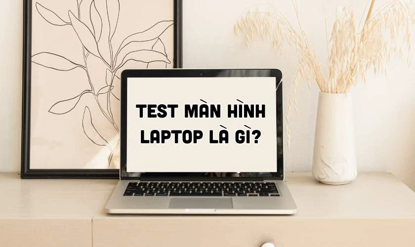 Test màn hình laptop là gì?