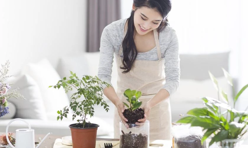 Mua sắm vật phẩm mang ý nghĩa may mắn