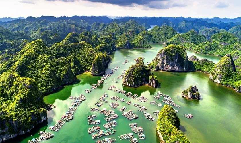 Vịnh Lan Hạ - Cát Bà