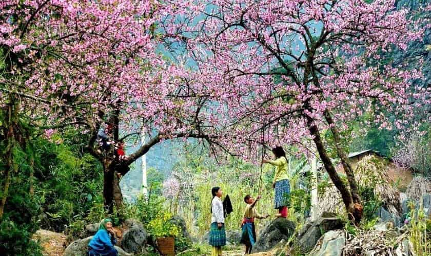 Mộc Châu - Sơn La