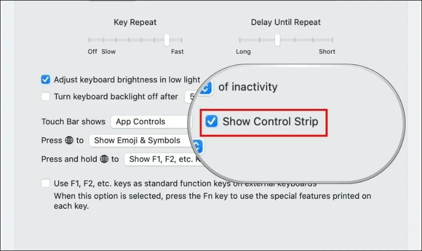 Tìm phần Touch Bar Shows và tích vào ô Show Control Strip