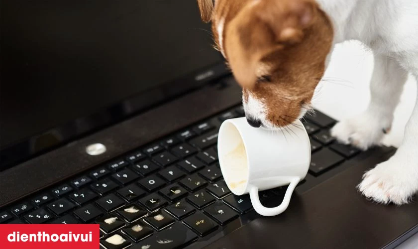 Nguyên nhân khiến bàn phím laptop Dell Inspiron 5390 nhanh hỏng