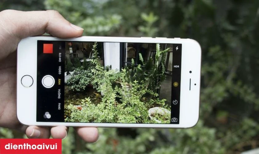 Đánh giá camera sau iPhone 6 Plus