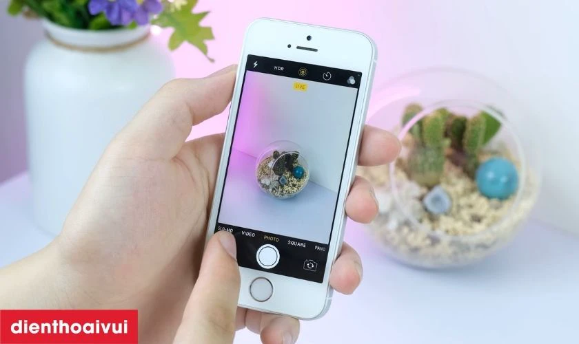Có nên thay camera sau iPhone SE chính hãng Hatech không?