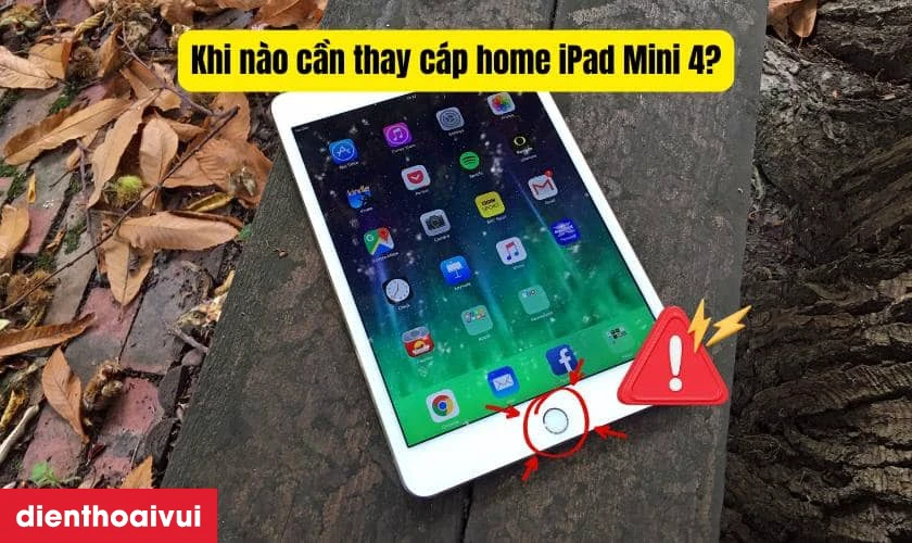 Thay cáp home iPad Mini 4