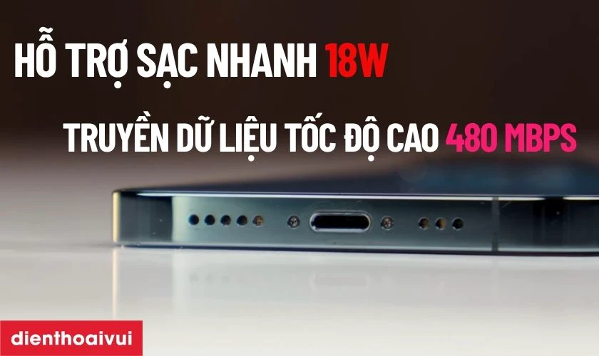 Tổng quan về cụm chân sạc iPhone 12 Pro