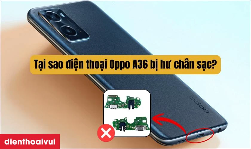 Tại sao điện thoại Oppo A36 bị hư ch&acirc;n sạc?