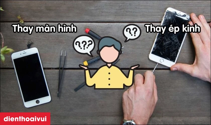Hiểu rõ dịch vụ sẽ giúp bạn chọn đúng phương án cho dế yêu